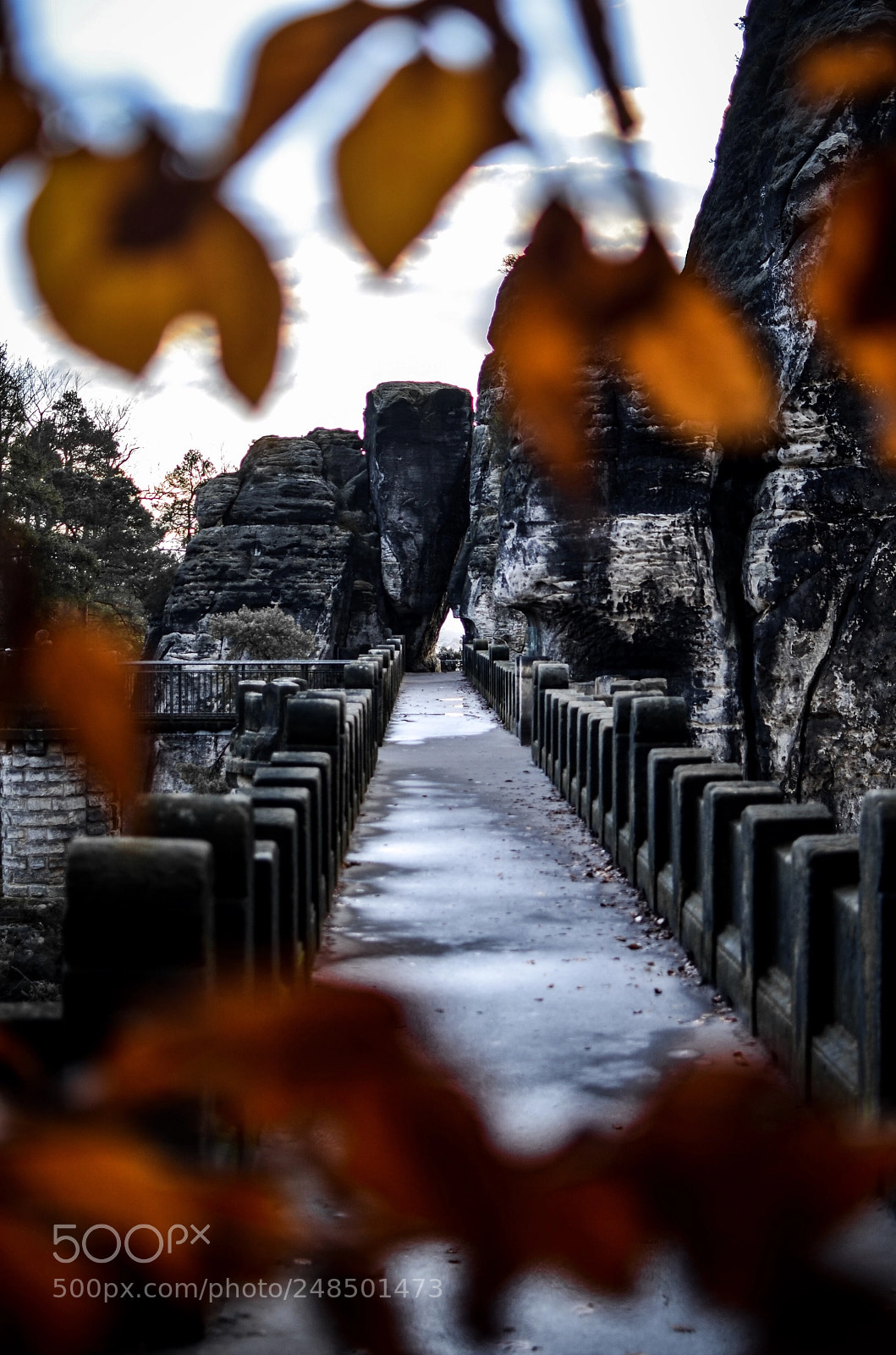 Nikon D5100 sample photo. Bastei bridge photography