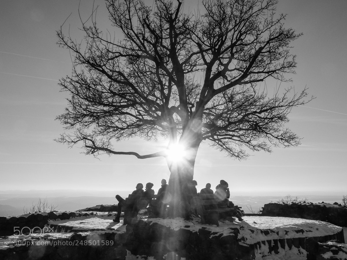 Fujifilm X30 sample photo. Friends on the top photography