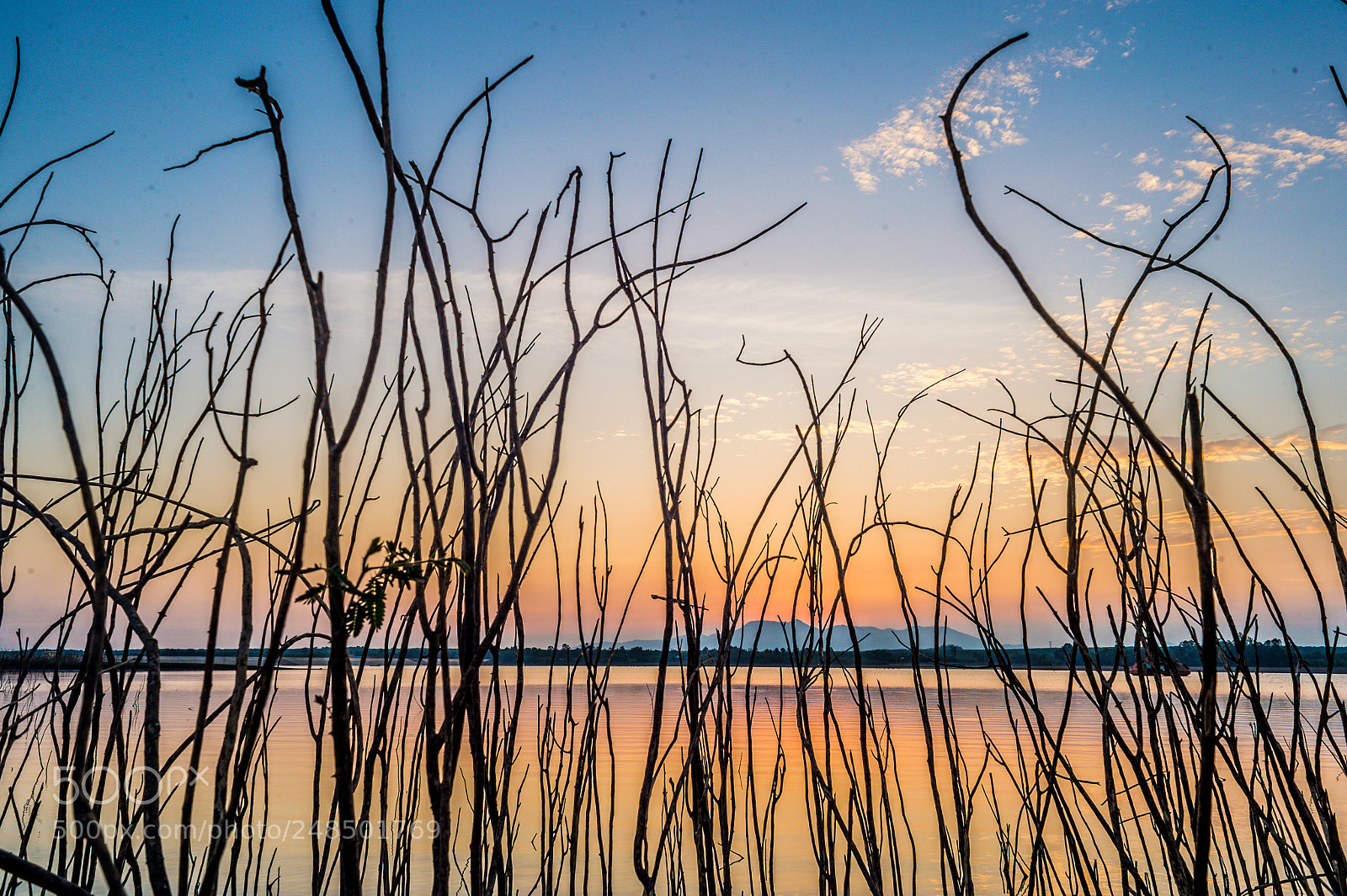 Nikon Df sample photo. Untitled photography
