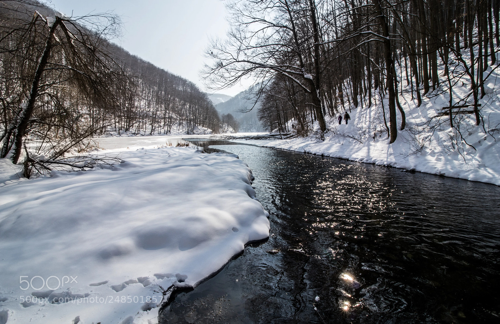 Canon EOS 80D sample photo. Hamori lake lillaf red photography