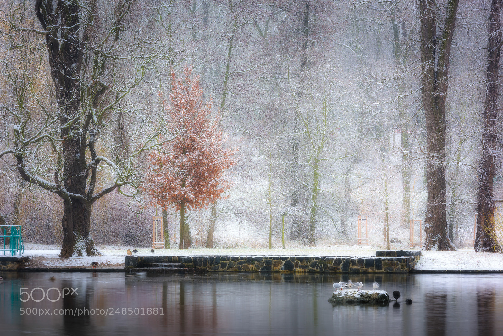 Nikon D810 sample photo. Fresh snow calmness photography