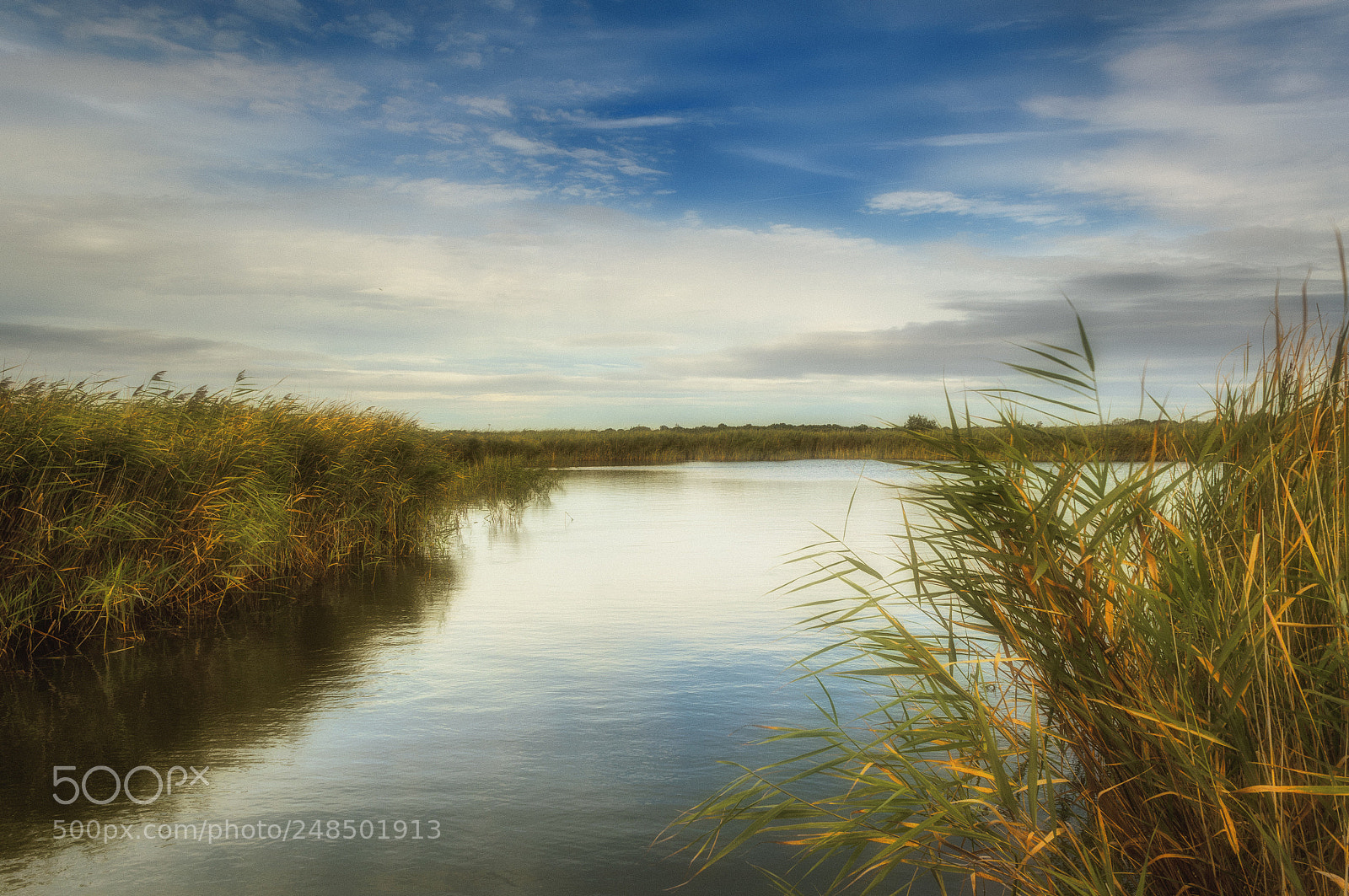 Nikon D5100 sample photo. Across the water photography