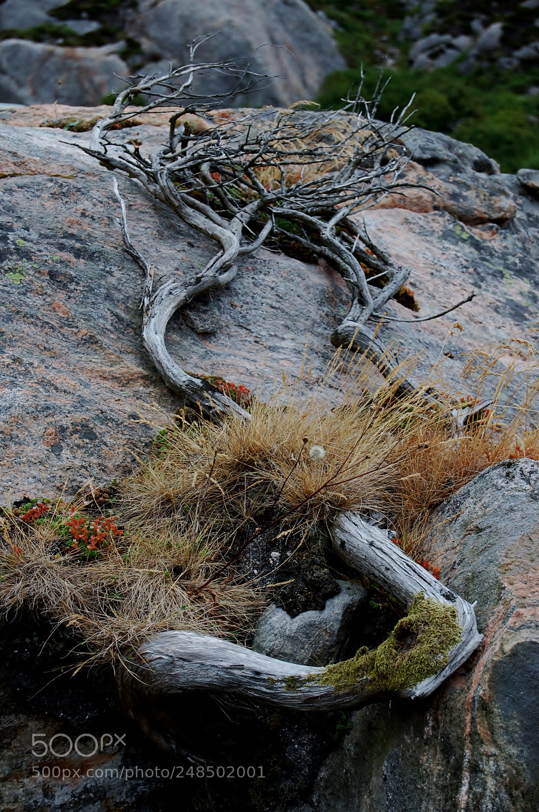 Nikon D40 sample photo. Untitled photography
