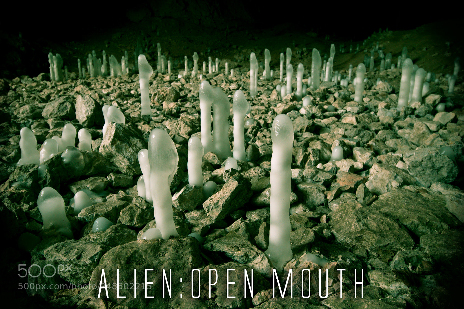 Canon EOS 80D sample photo. Alien: open mouth photography