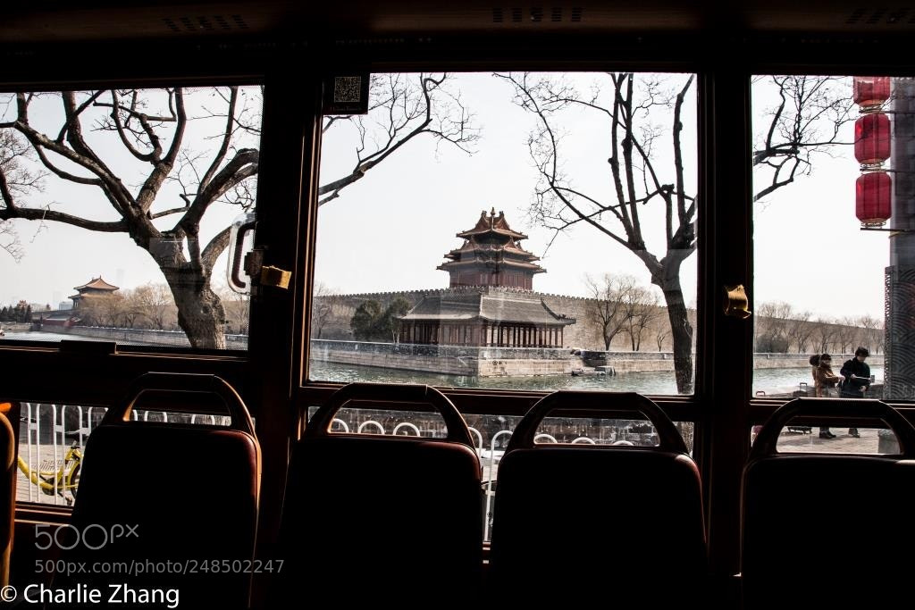 Canon EOS-1D X sample photo. Untitled photography