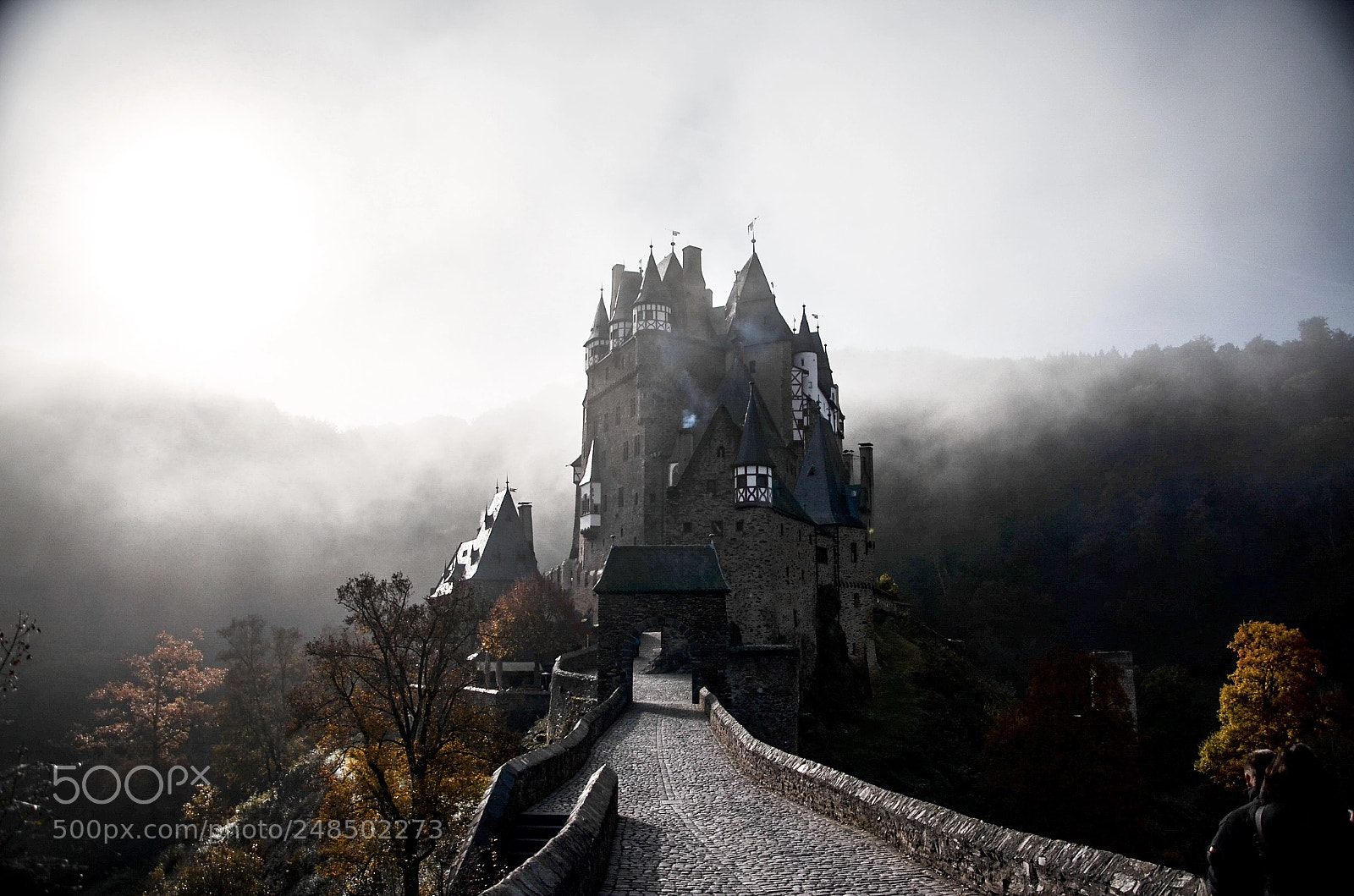 Nikon D5100 sample photo. Eltz castle photography