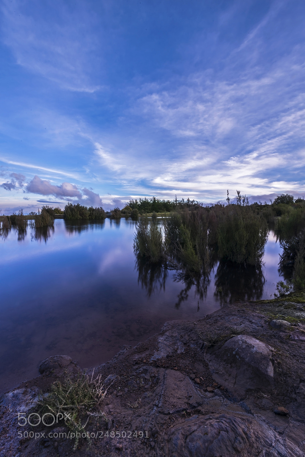 Nikon D610 sample photo. Blues in the water photography