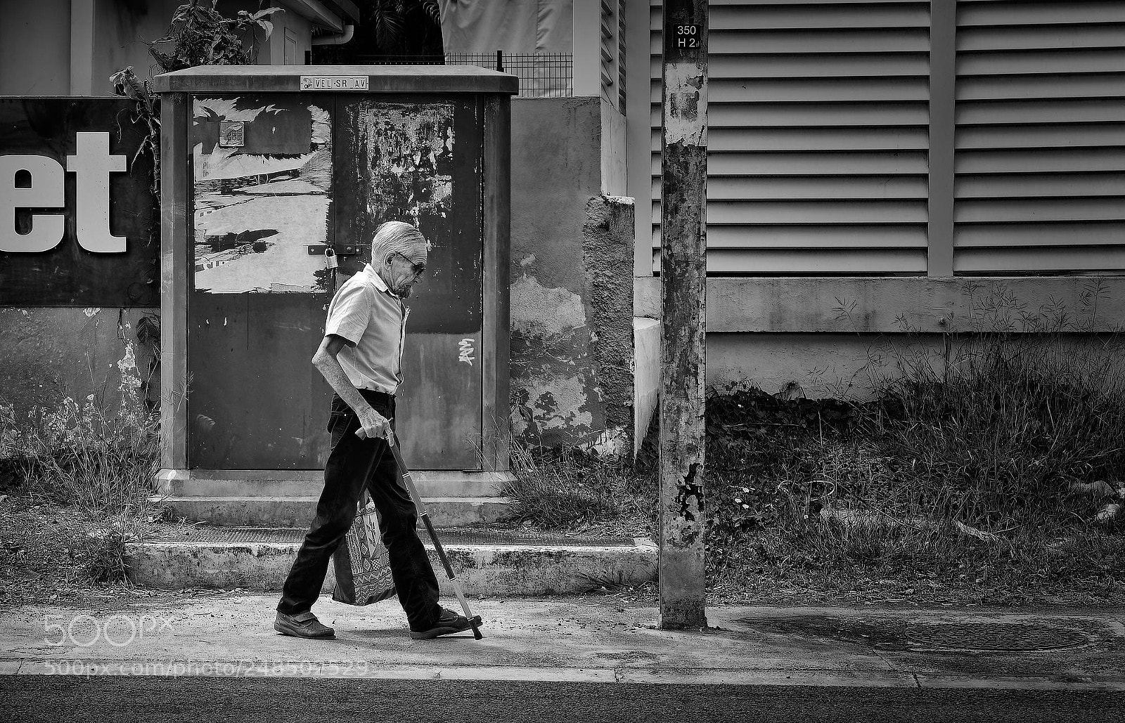 Nikon D5600 sample photo. Man walks no.73 photography