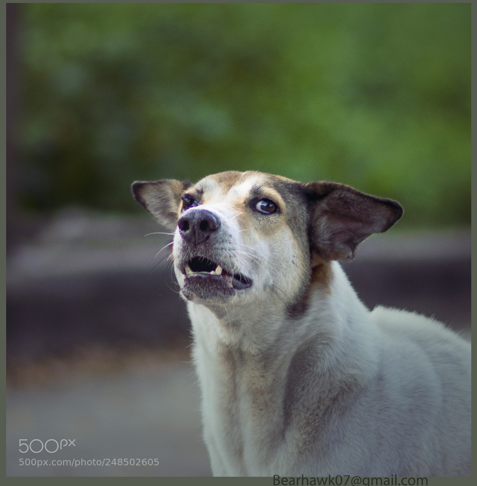 Nikon D7200 sample photo. 138.jpg photography