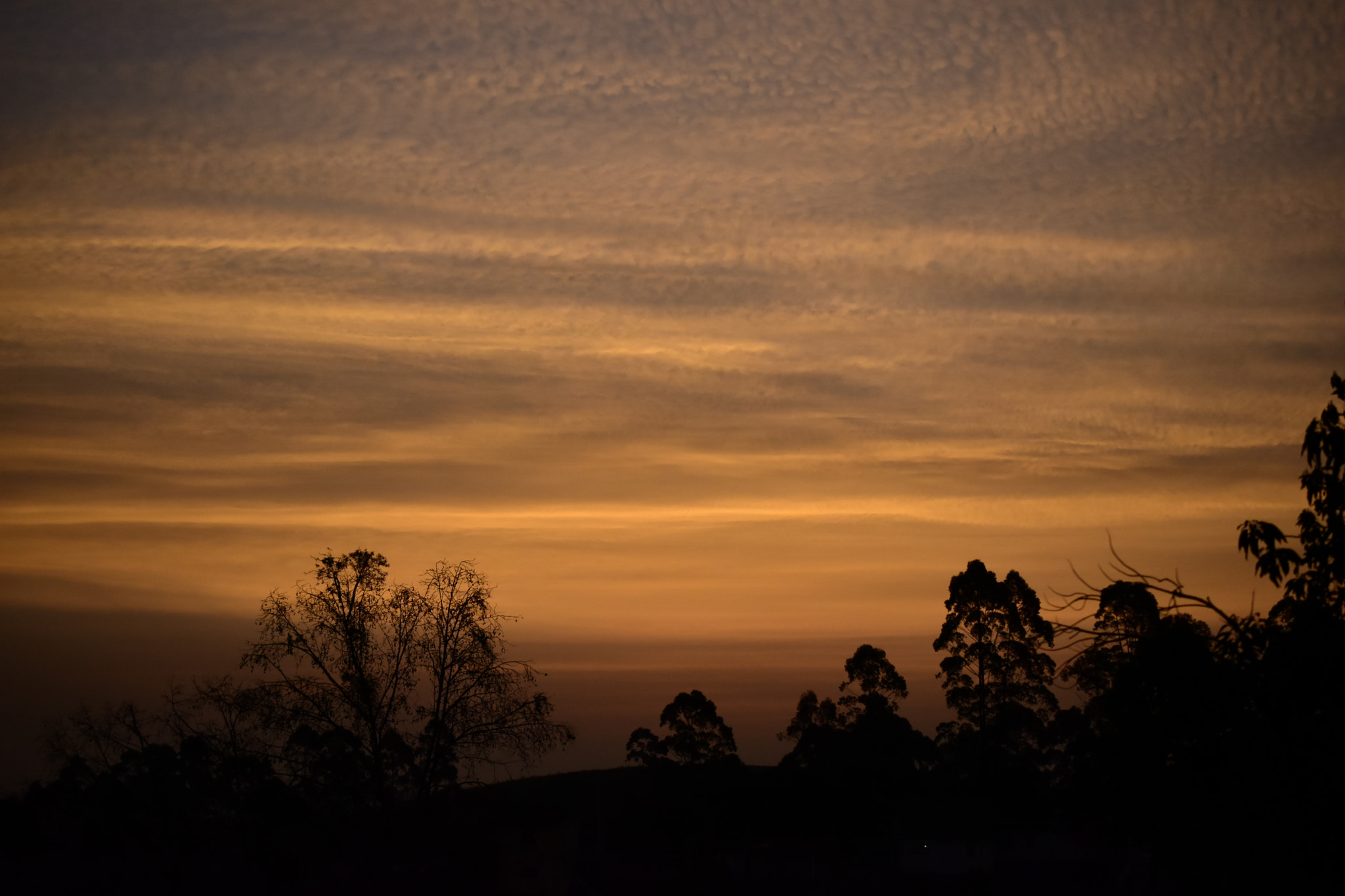 Nikon AF-S DX Micro Nikkor 40mm F2.8 sample photo. Dawn at itapecerica photography