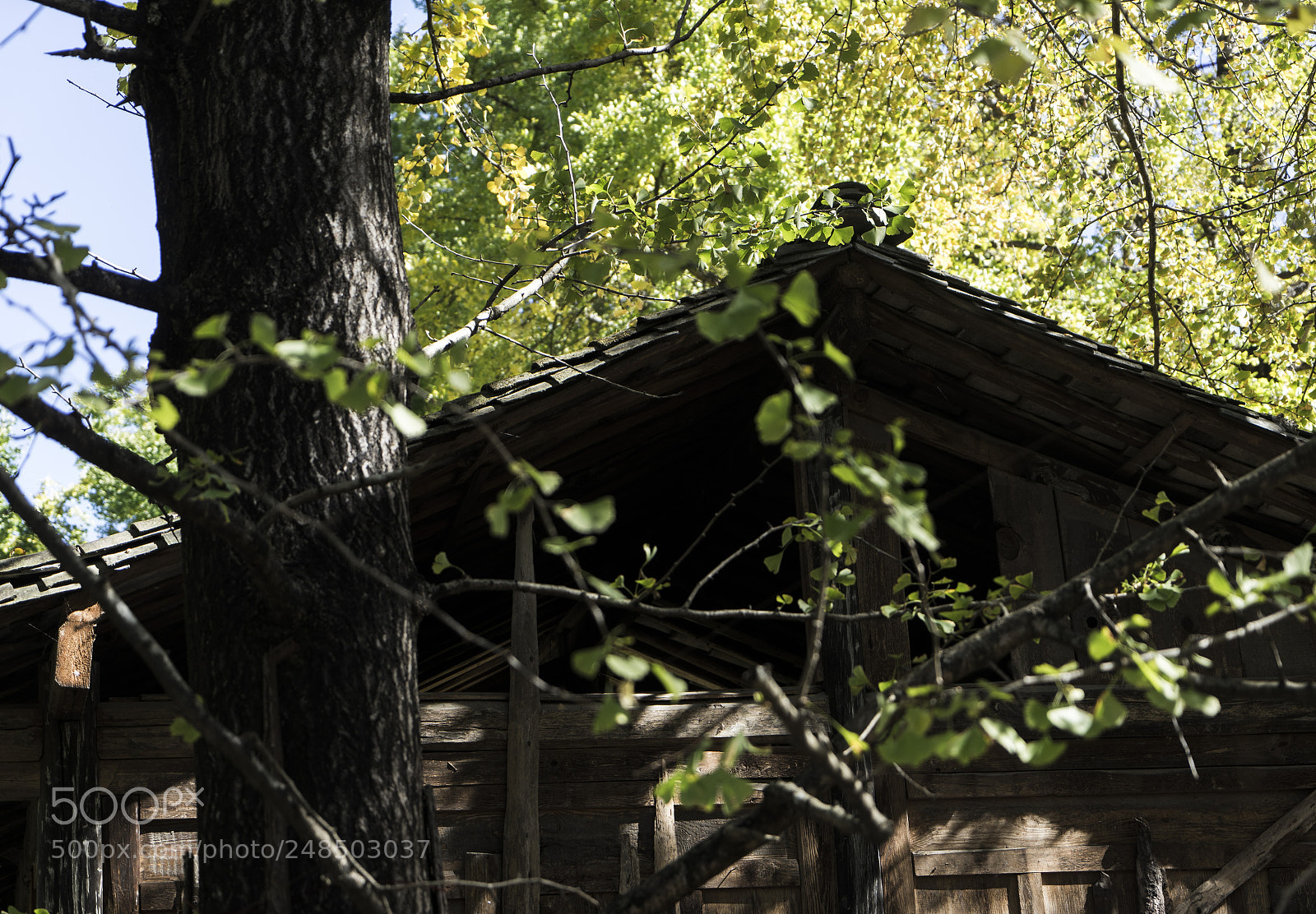 Sony a7 II sample photo. House photography