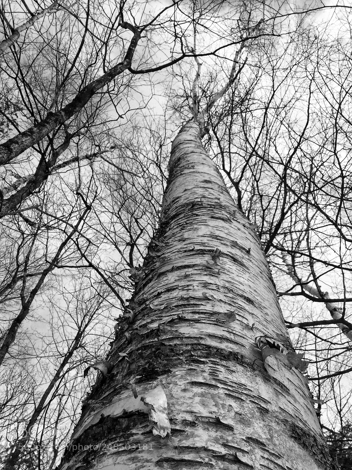 Apple iPod touch sample photo. Untitled photography