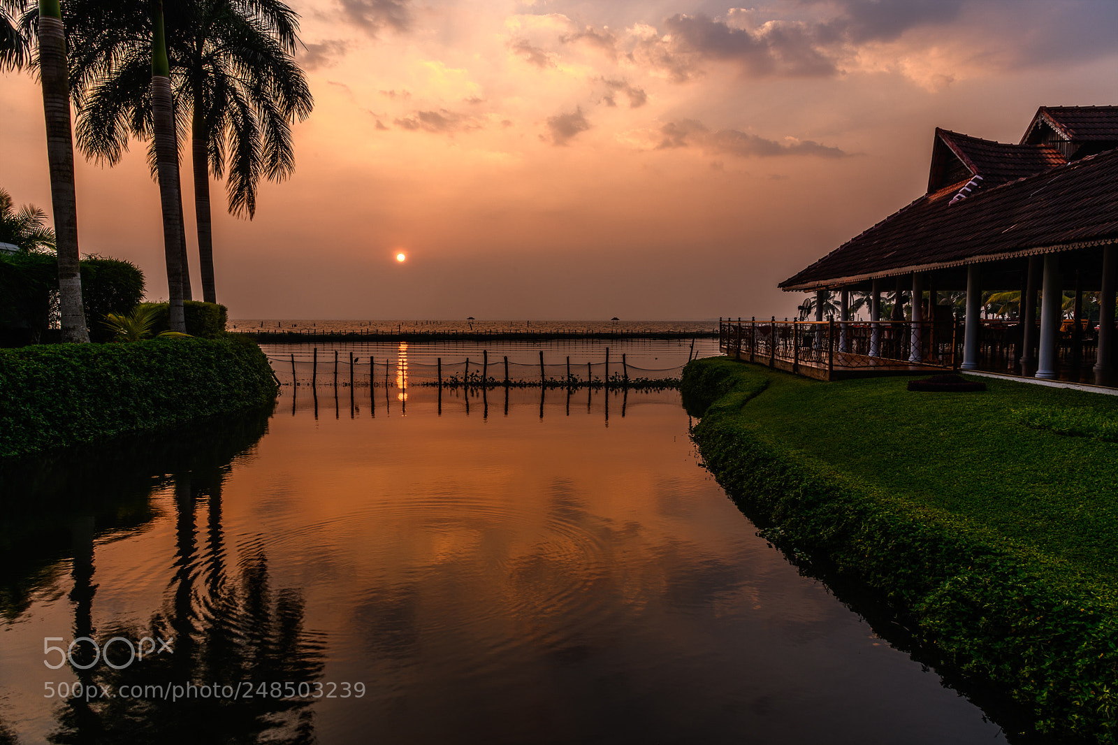Nikon D850 sample photo. Sunset over kumarakom lake photography