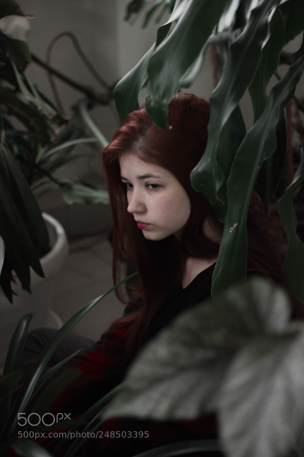 Canon EOS 600D (Rebel EOS T3i / EOS Kiss X5) sample photo. Kris photography