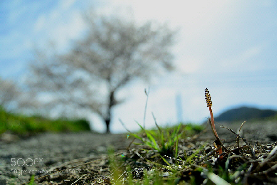 Nikon D800 sample photo. Let me up slowly. photography