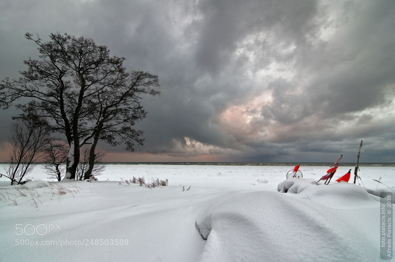 Nikon D300 sample photo. Winter storm photography