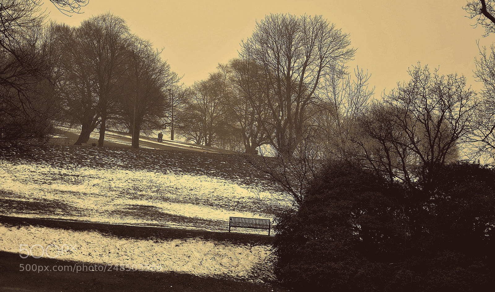 Nikon D3000 sample photo. Keep  walking photography