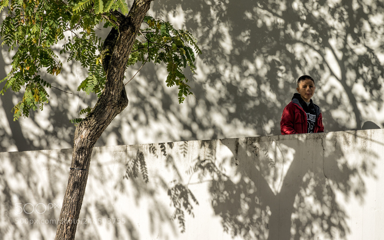 Sony Cyber-shot DSC-RX10 III sample photo. 'youth and shadow' photography