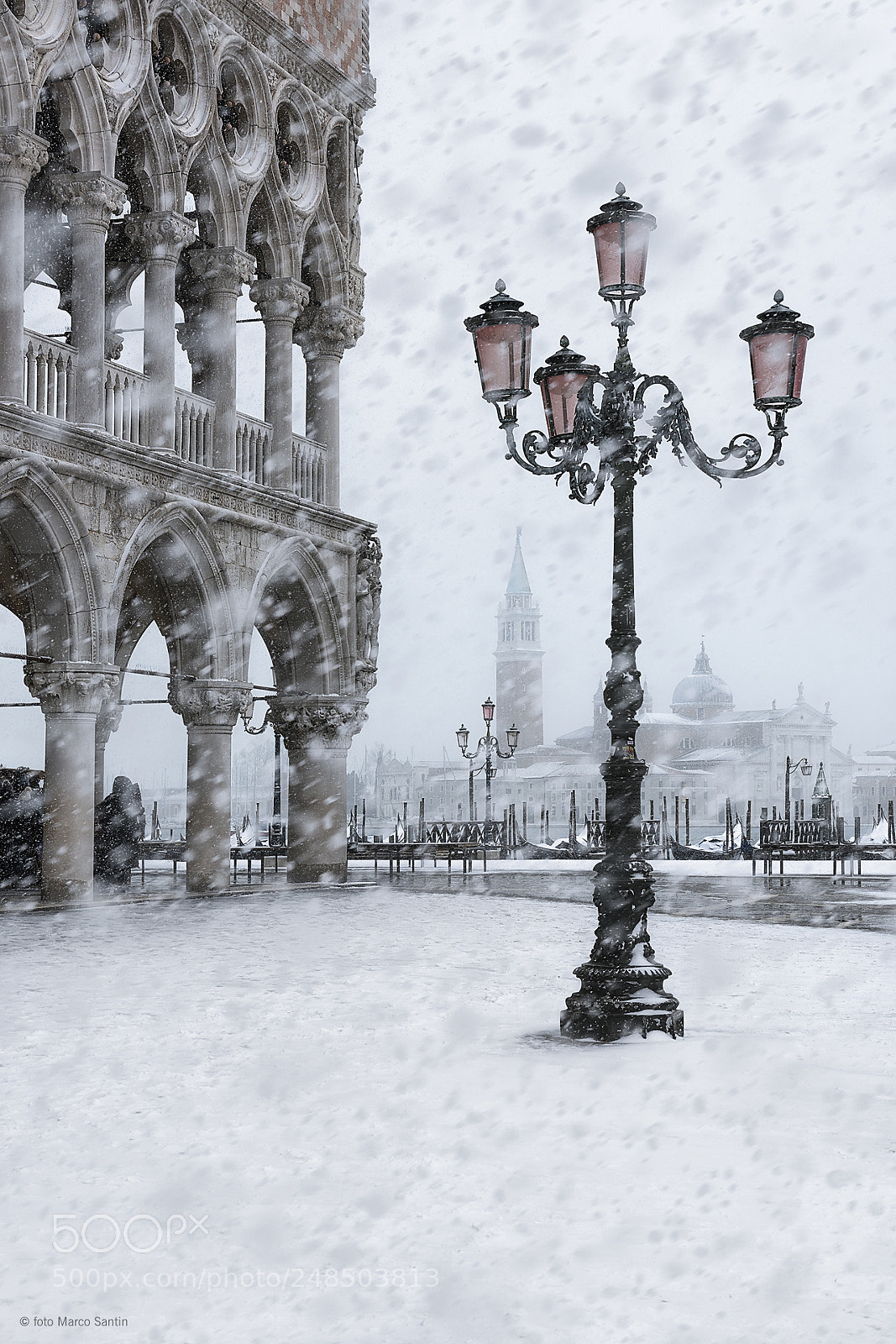 Nikon D810 sample photo. Life in venice photography