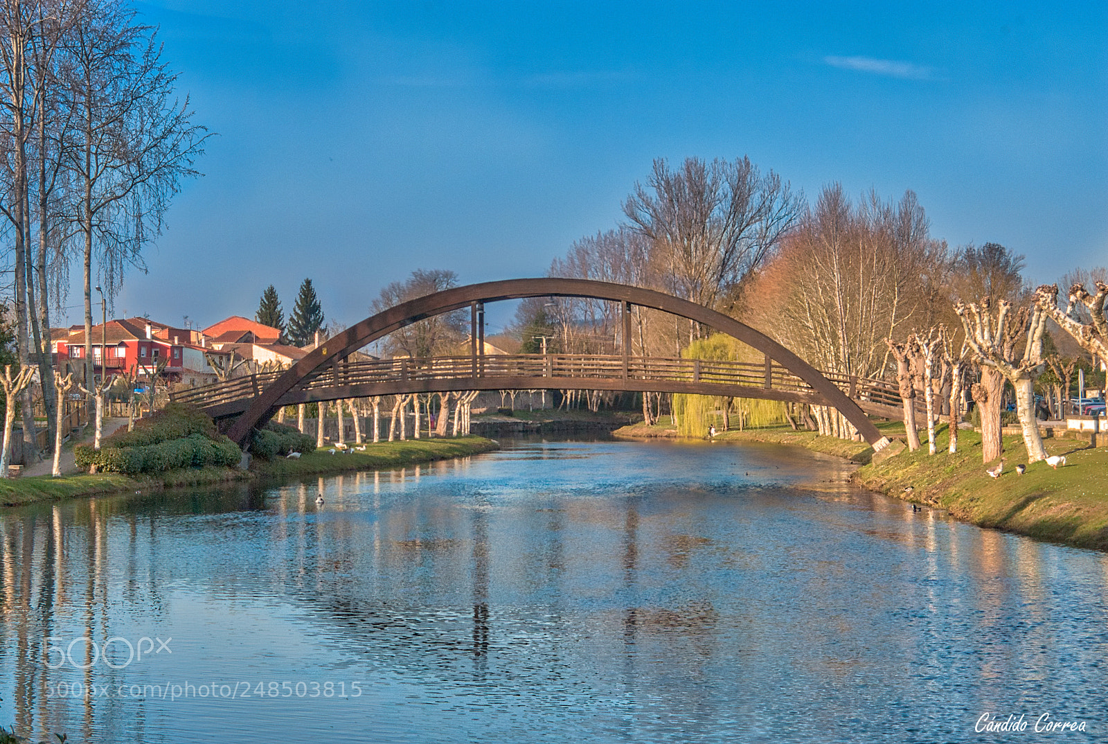 Nikon D3000 sample photo. Puente de madera sobre photography