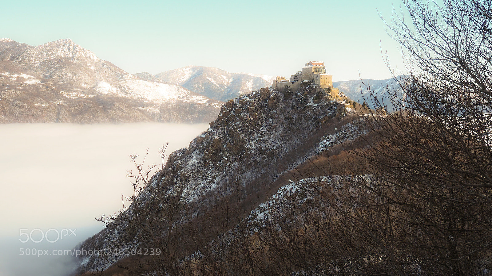 Olympus OM-D E-M5 II sample photo. Like a painting photography