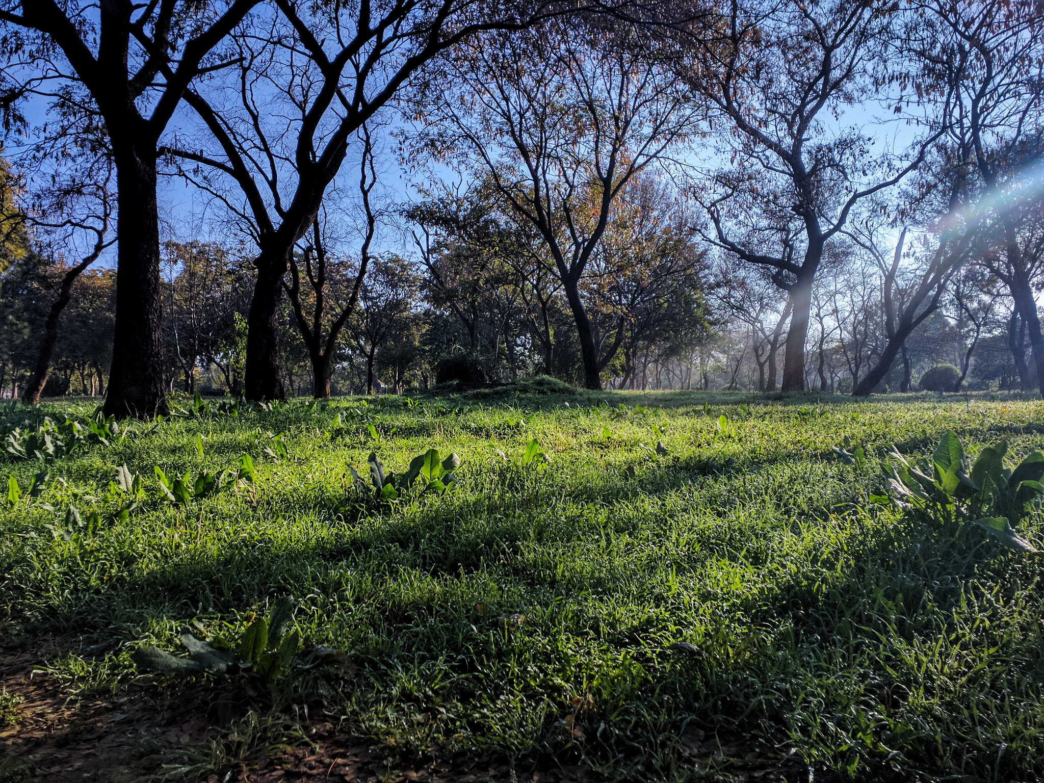 Motorola Nexus 6 sample photo