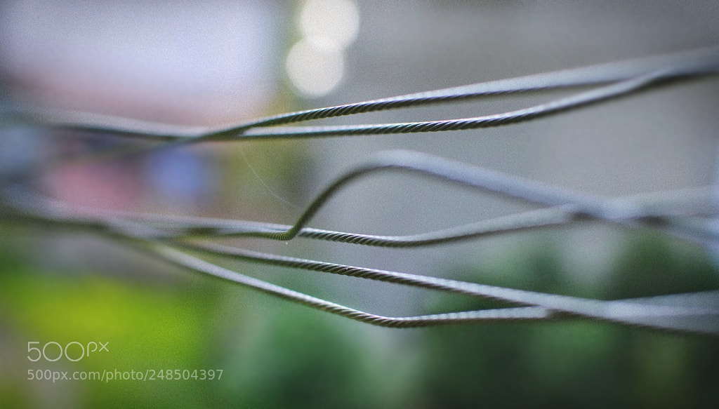 Nikon D3200 + Nikon AF-S DX Nikkor 35mm F1.8G sample photo. *** photography