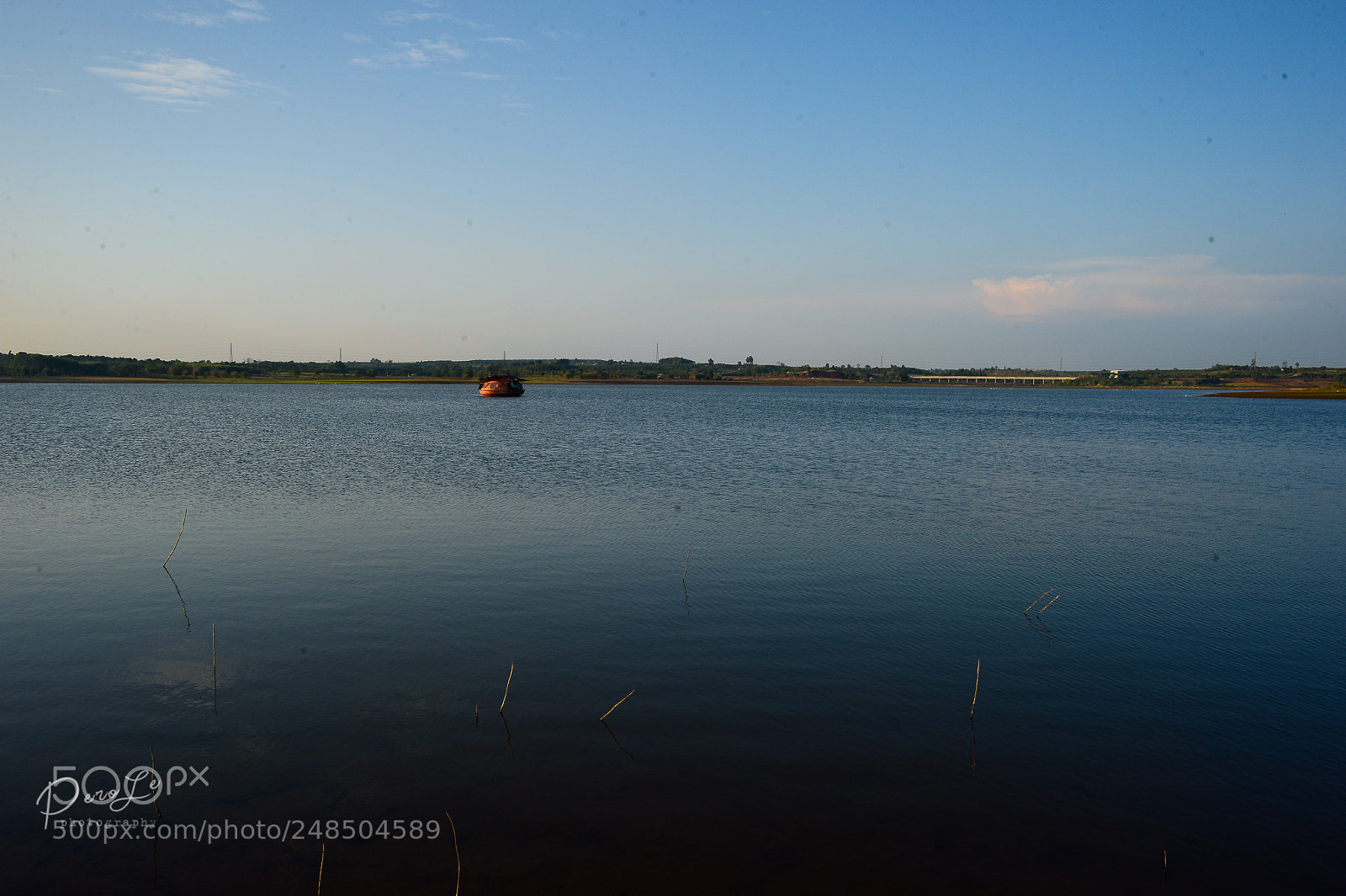 Nikon Df sample photo. Untitled photography