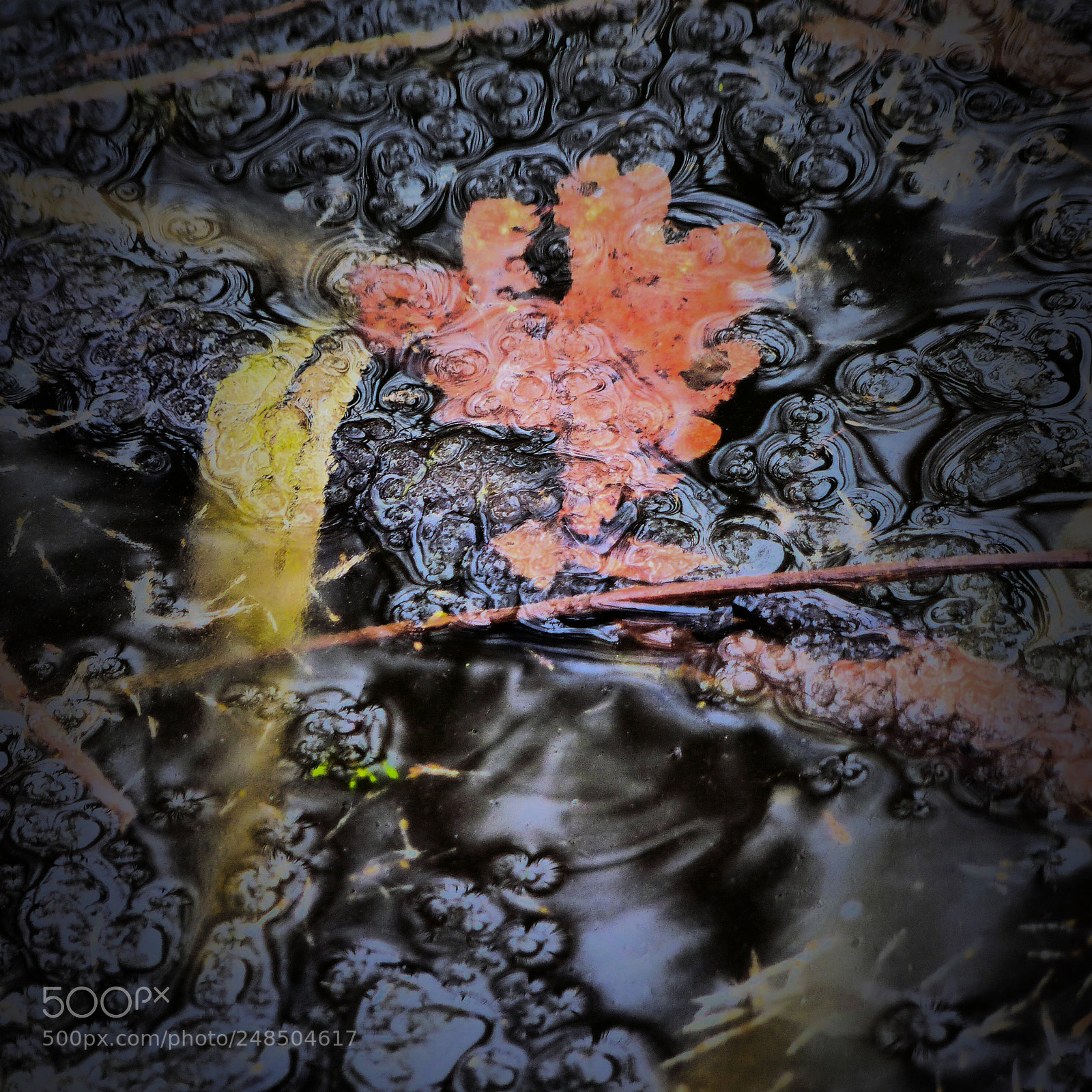 Panasonic Lumix DMC-FZ200 sample photo. Matieres hivernales photography