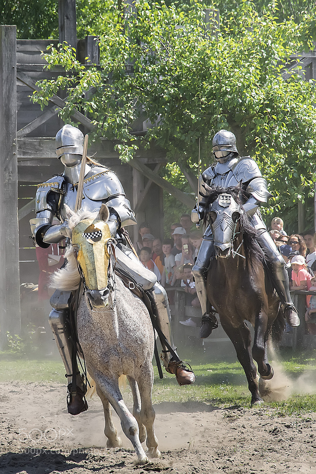 Nikon D5200 sample photo. Knights #4 photography