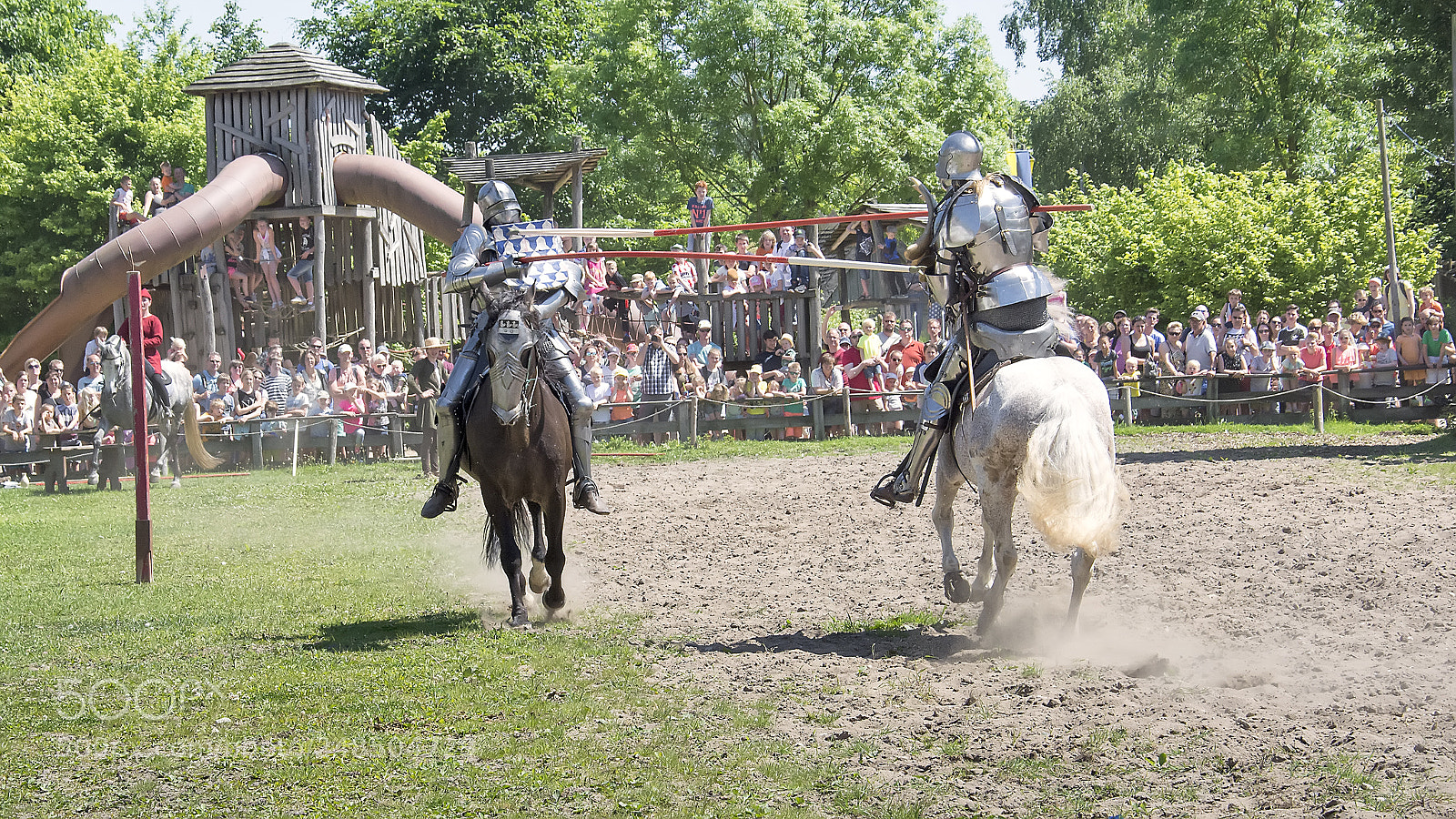 Nikon D5200 sample photo. Knights #3 photography