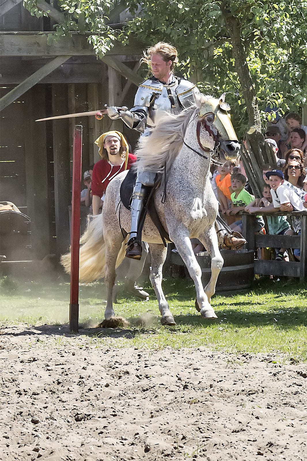 Nikon D5200 sample photo. Knights #2 photography