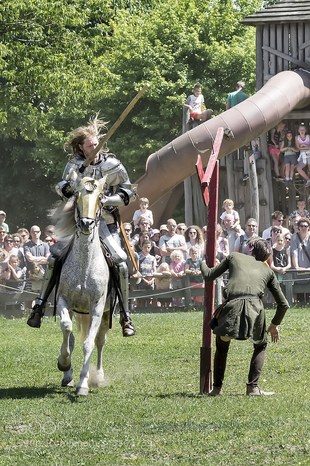 Nikon D5200 sample photo. Knights #1 photography