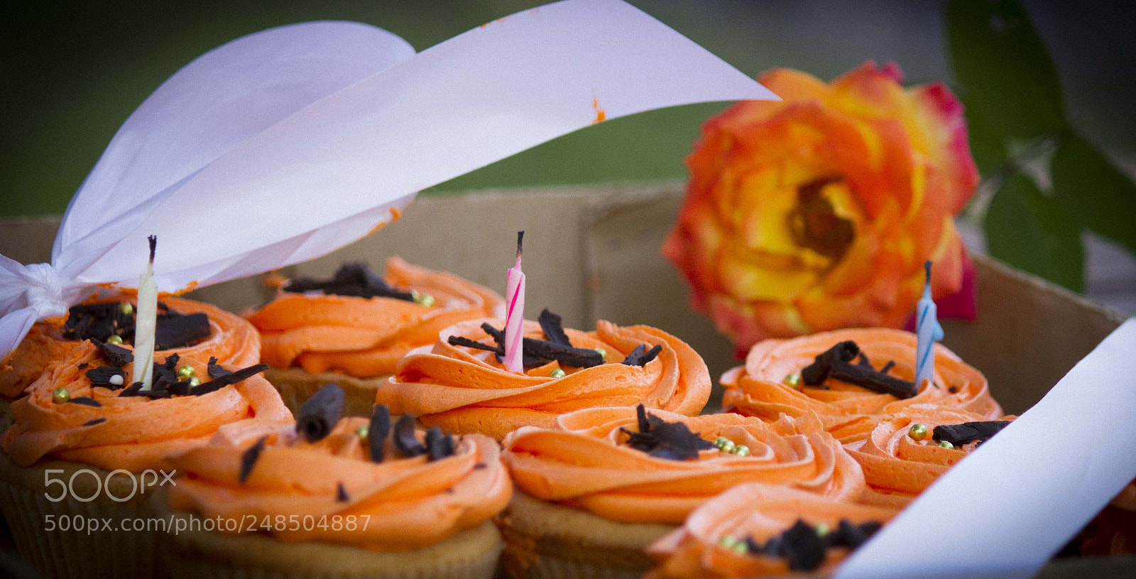 Canon EOS 7D sample photo. Img photography