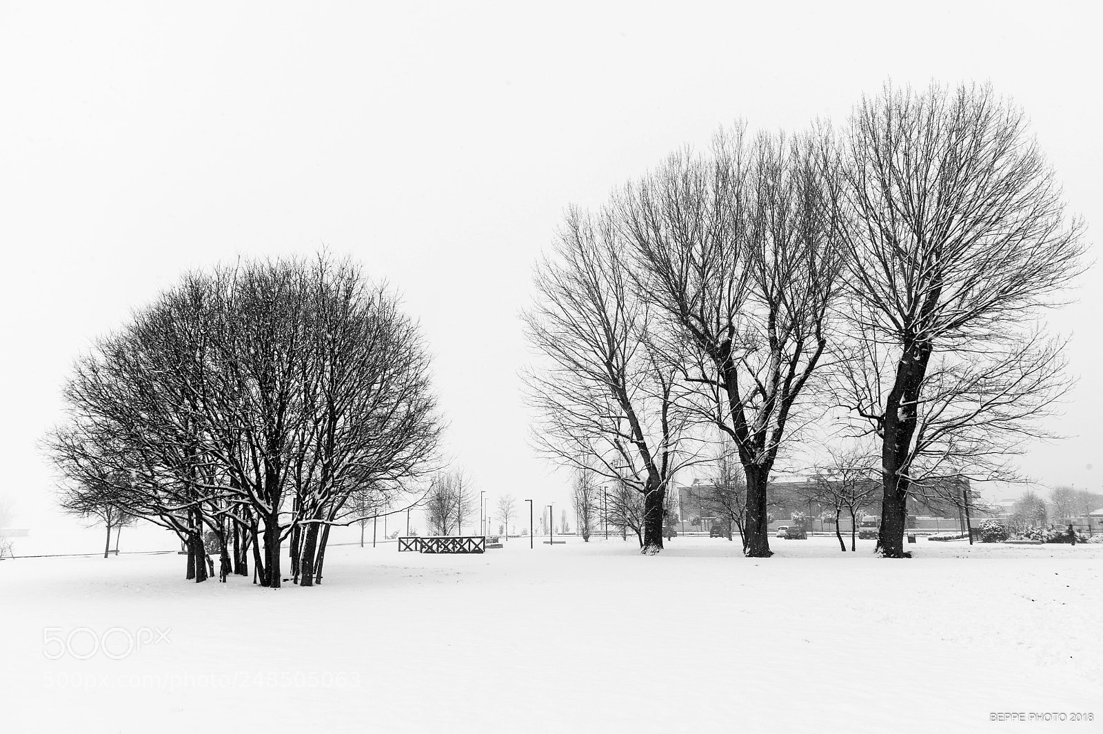 Nikon D700 sample photo. Snow photography