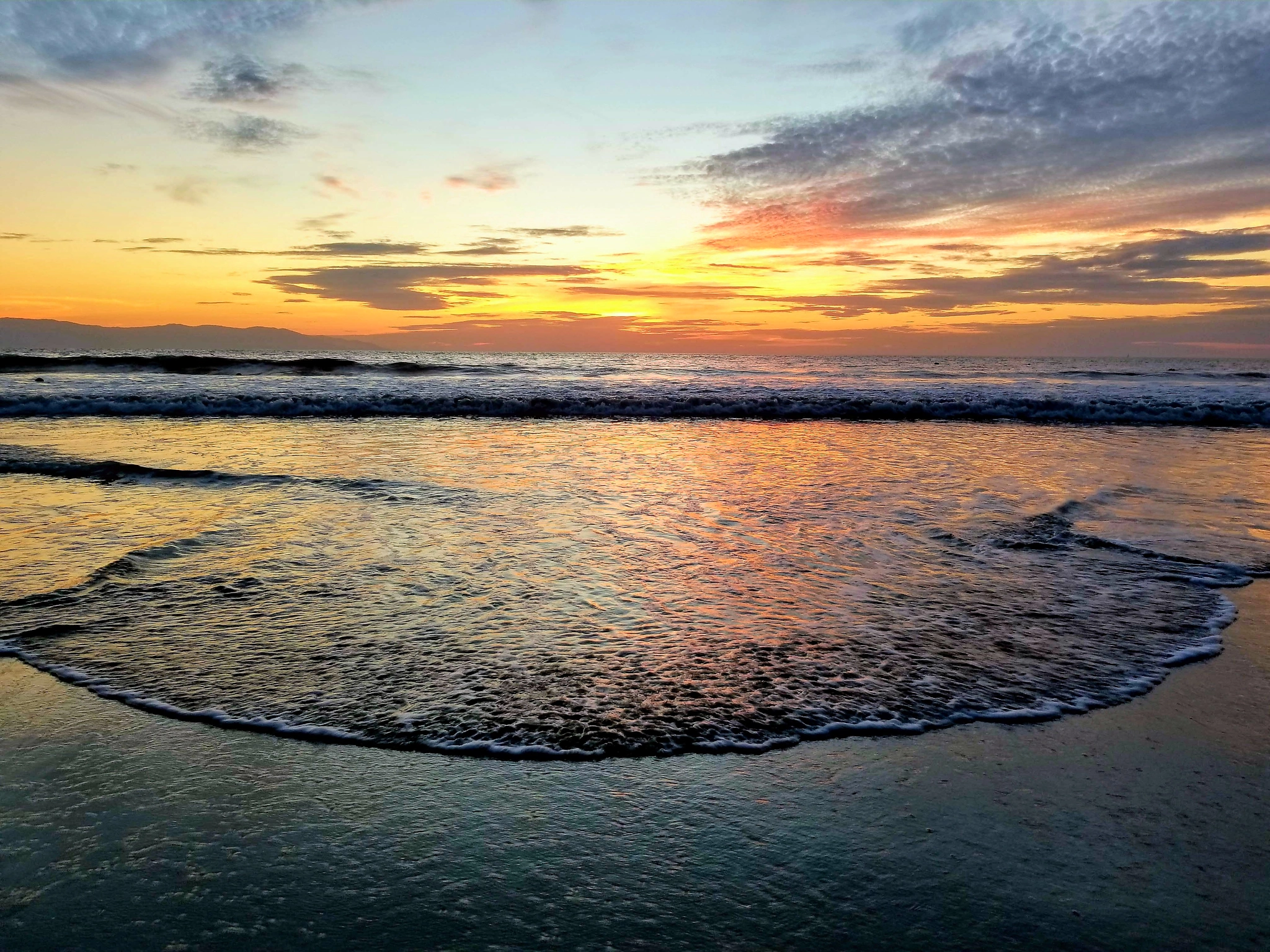 Samsung Galaxy S8 Active sample photo. Swallow the shore photography