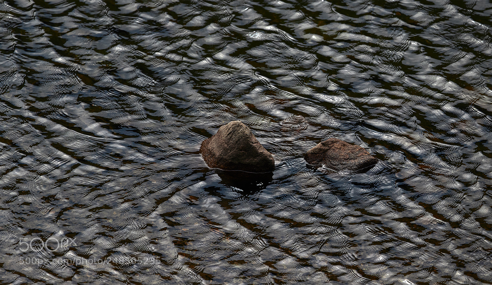 Canon EOS-1D X Mark II sample photo. Sound of silence photography