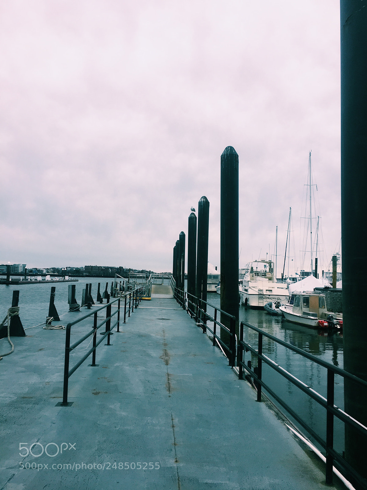 Apple iPhone 6s sample photo. Boston harbor photography