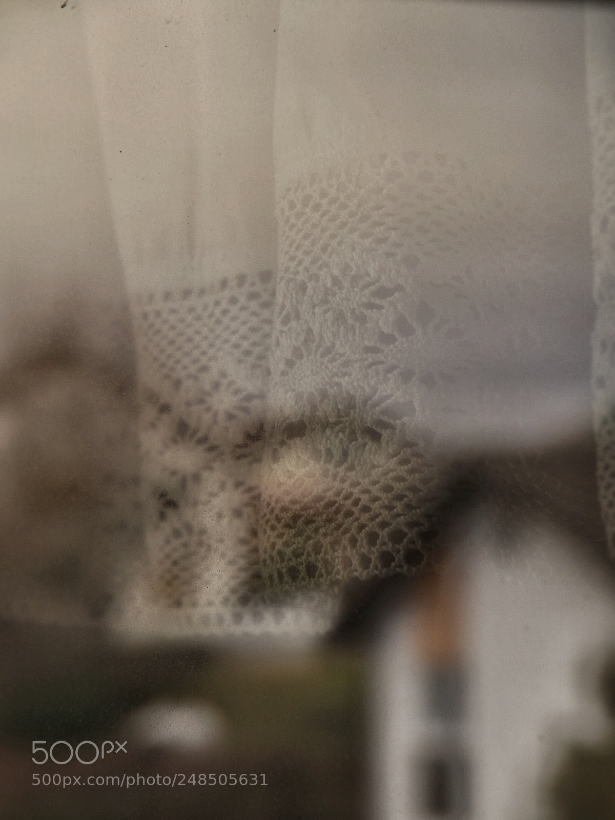Olympus OM-D E-M10 II sample photo. In the details photography