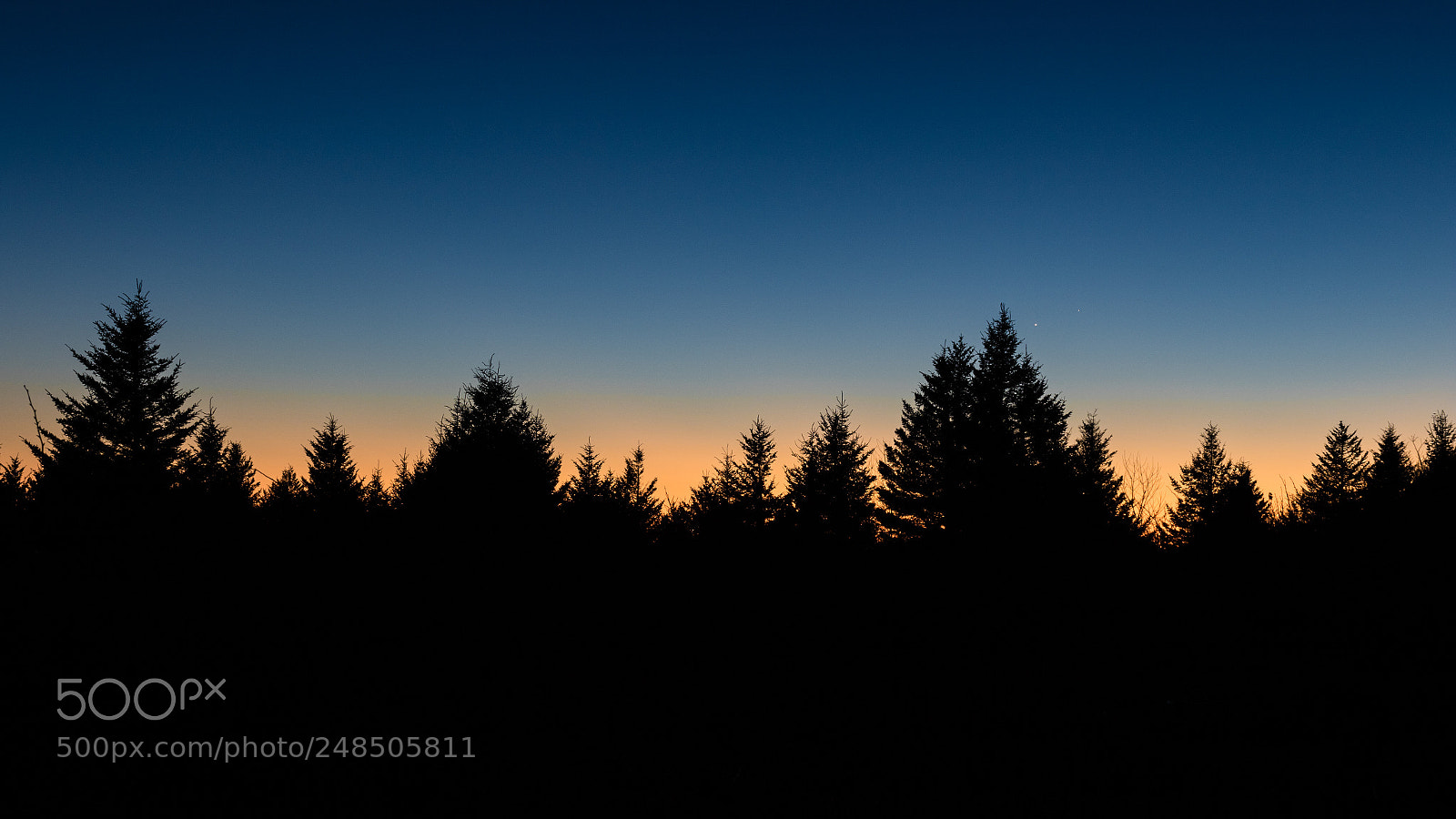 Canon EOS 7D Mark II sample photo. Mercury, venus, pines photography