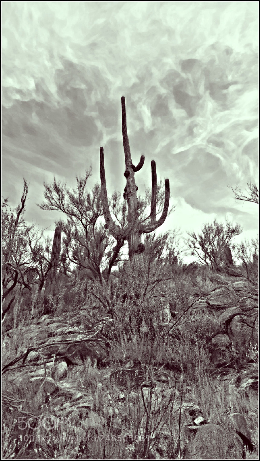Samsung Galaxy S6 sample photo. Sonoran storm photography