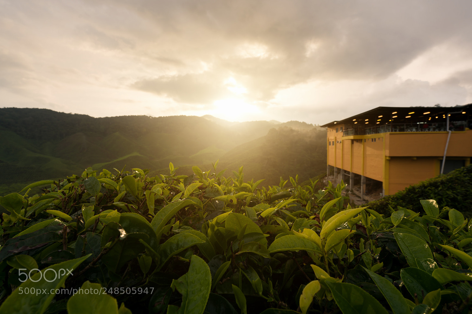 Sony a7R II sample photo. Amazing malaysia landscape. view photography