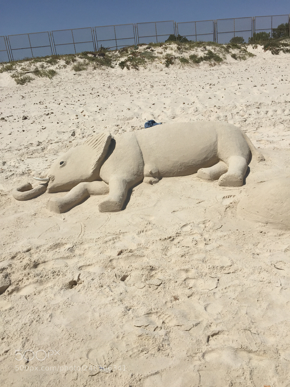 Apple iPhone 6 sample photo. The elephant of sand photography