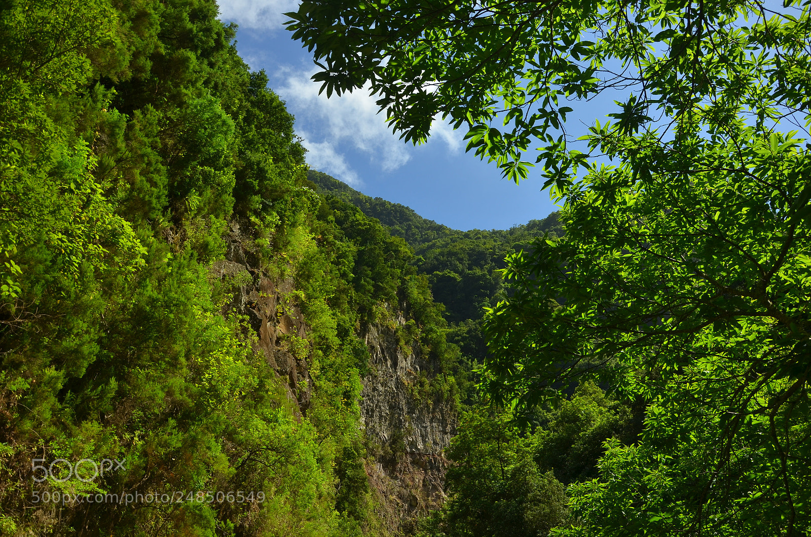Nikon D5100 sample photo. Green frame photography