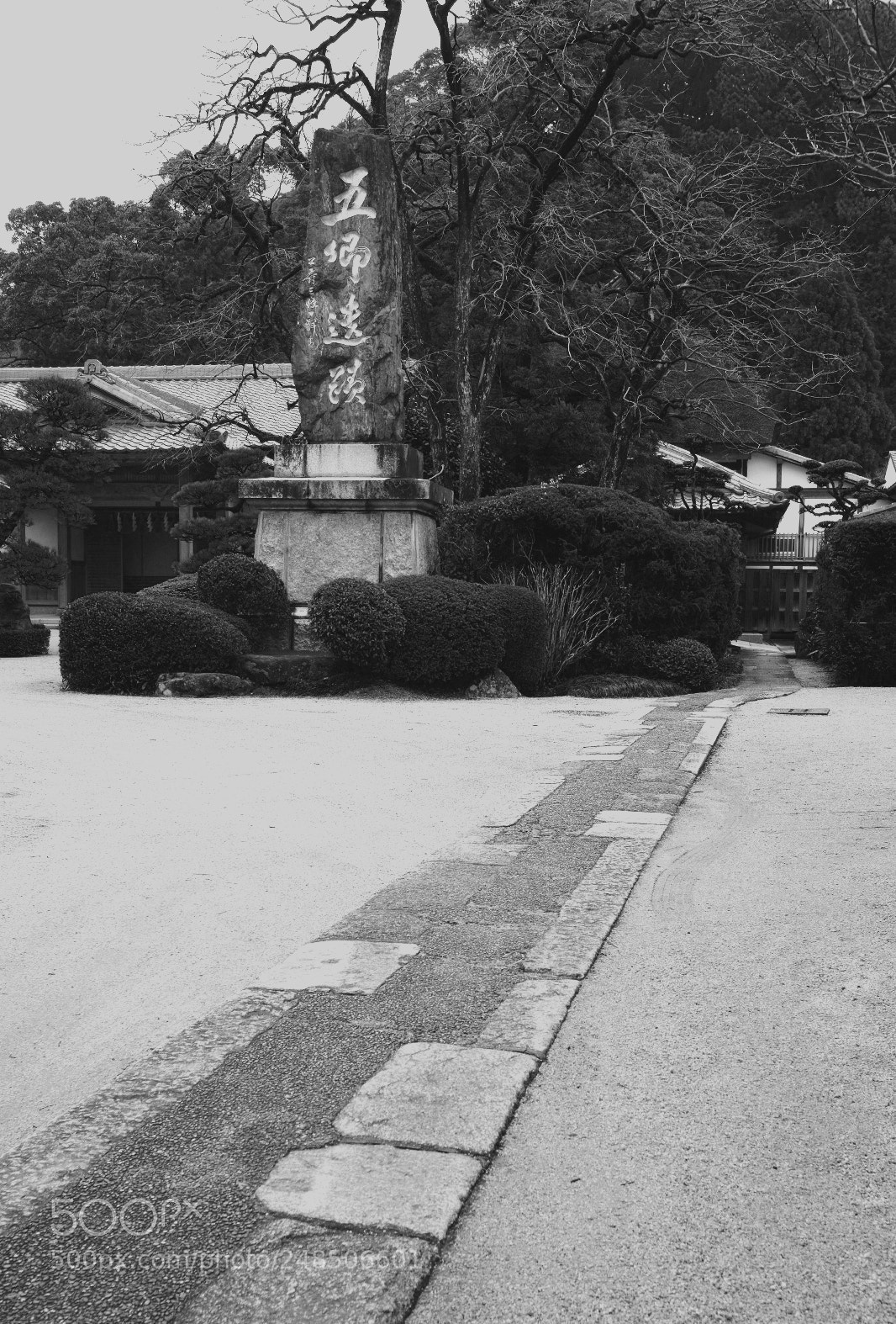 Fujifilm X-T2 sample photo. Untitled photography