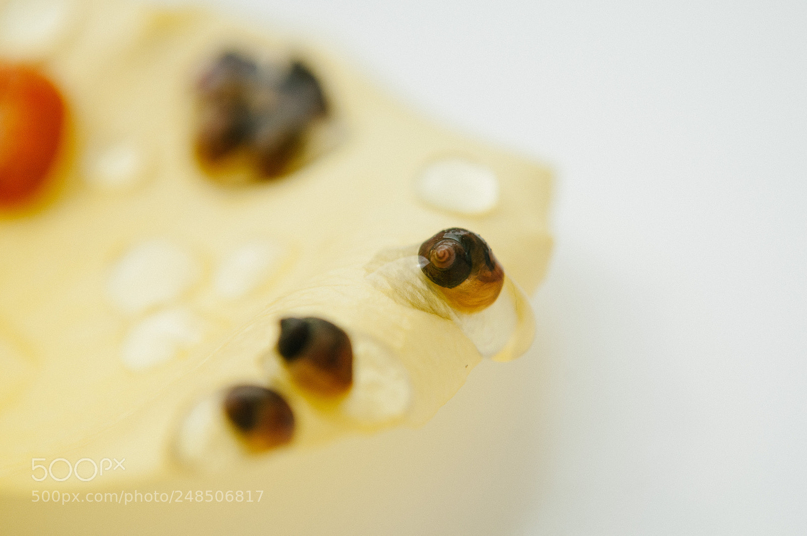 Nikon D300S sample photo. Life photography