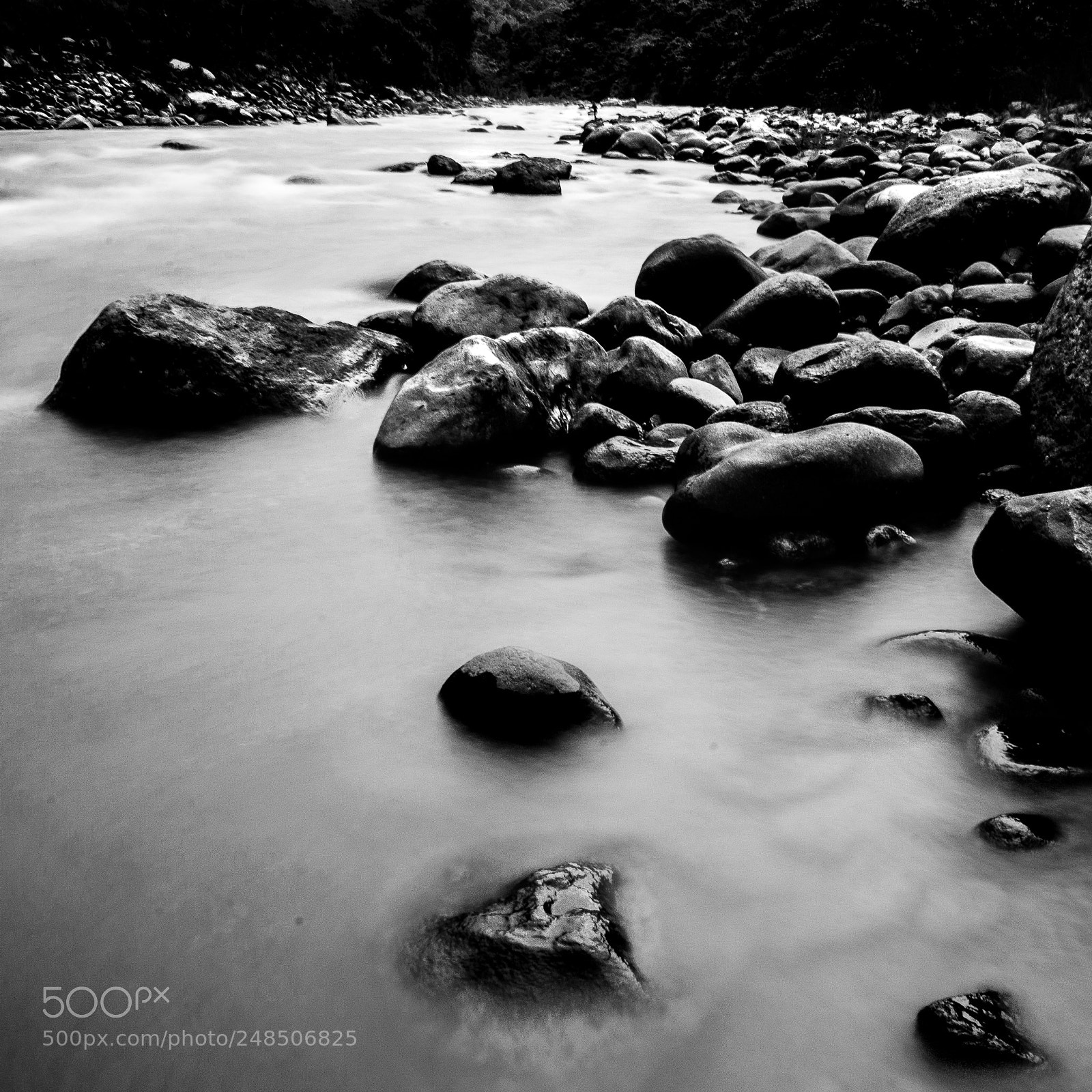 Nikon D3100 sample photo. Rocas del río photography