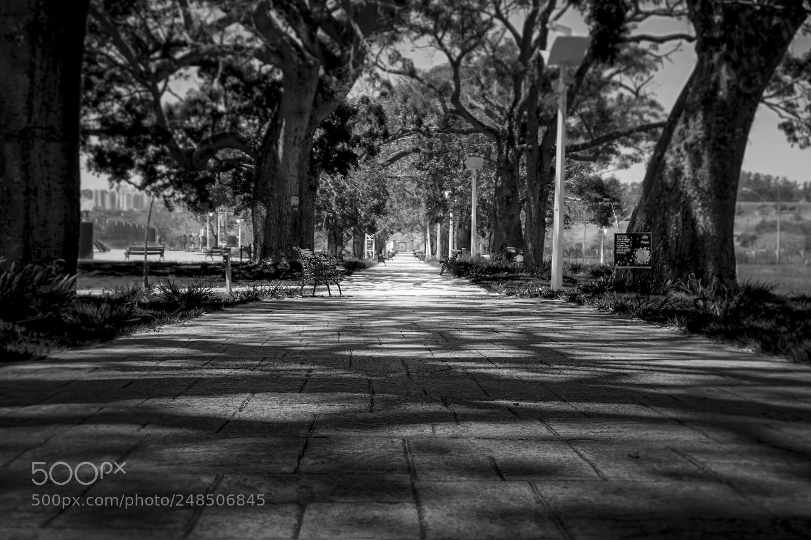 Sony Alpha a5000 (ILCE 5000) sample photo. Caminhos photography