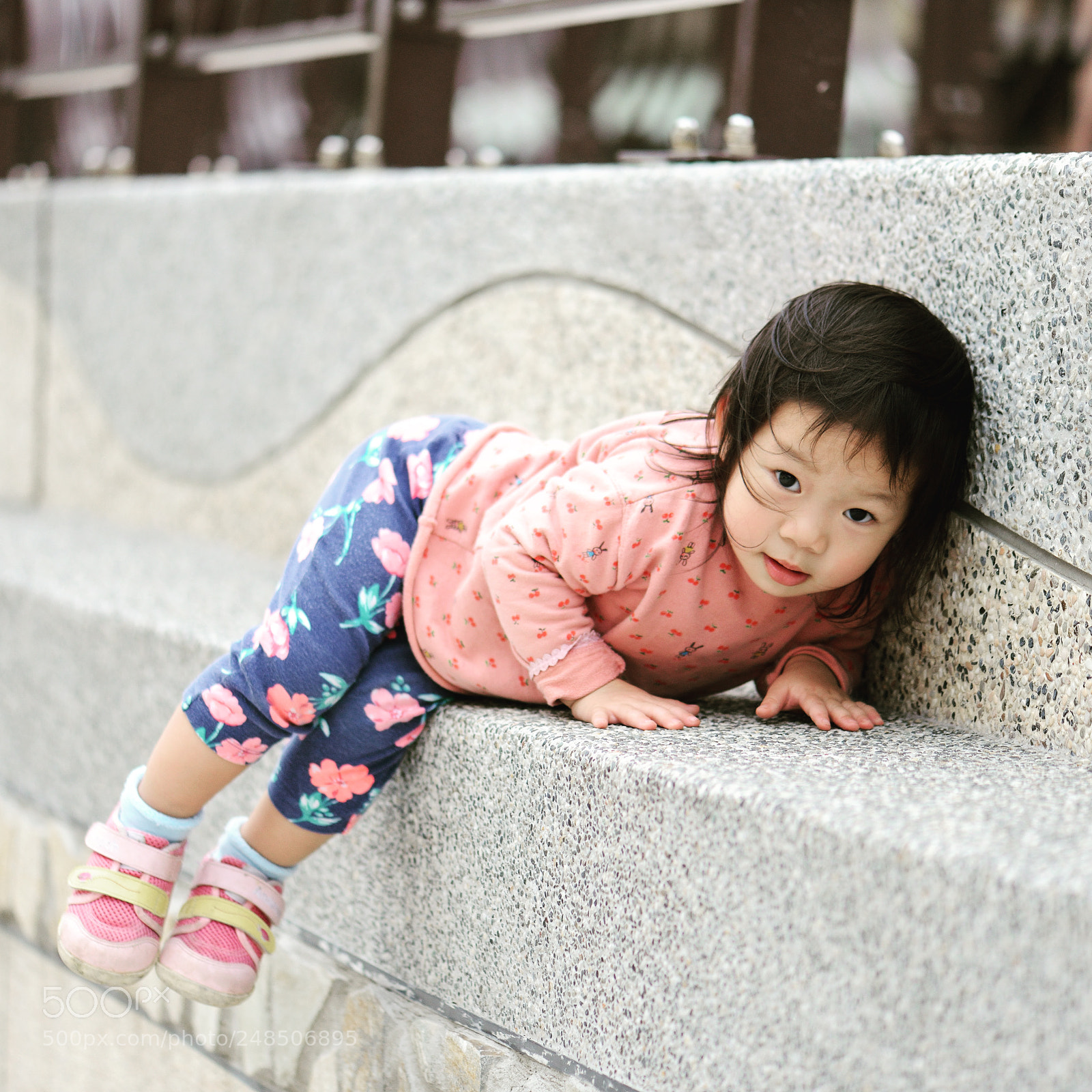 Nikon D800 sample photo. Untitled photography