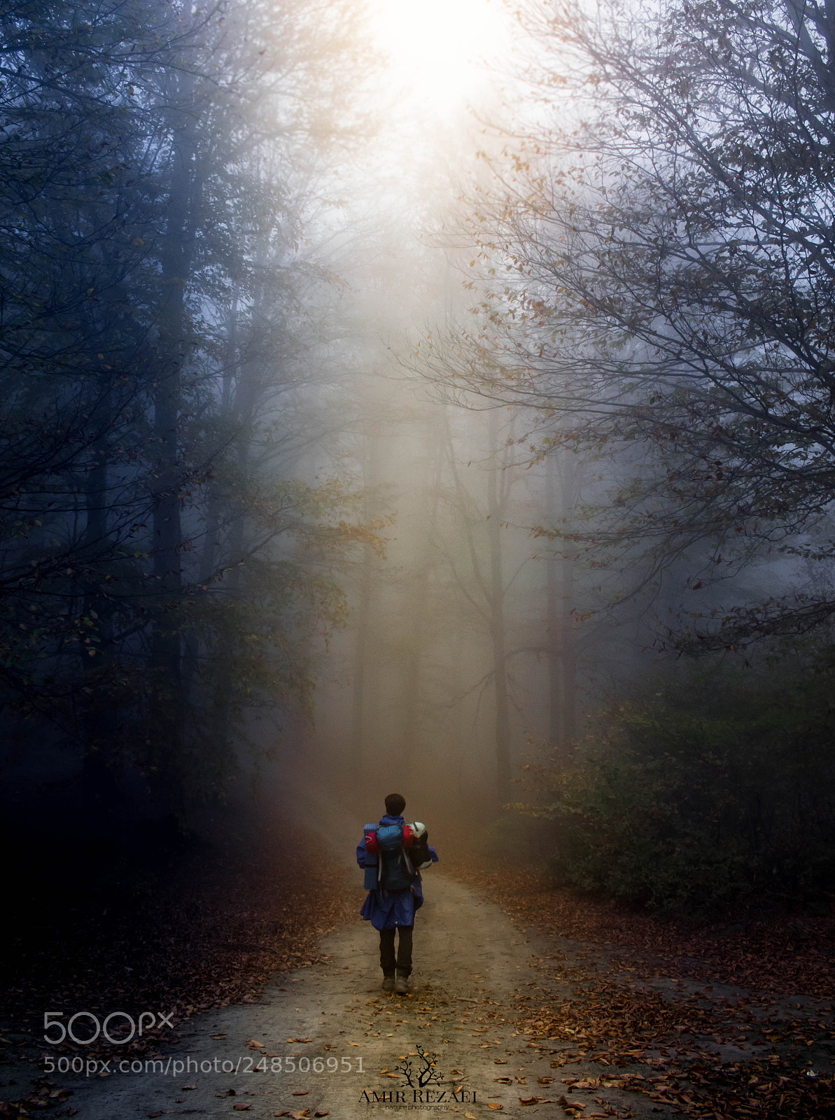 Nikon D5300 sample photo. Wonderland photography